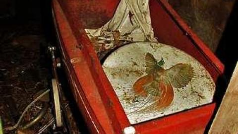 Photo from Junk, junk, junk