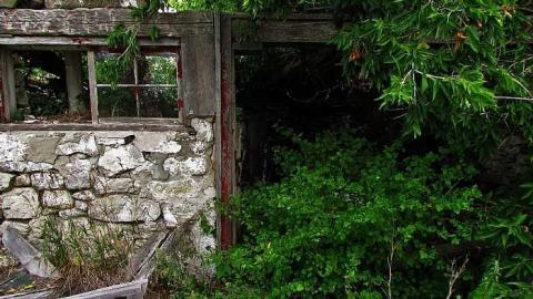 Junk, junk, junk - IMG_2695.jpg