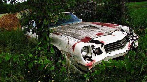 Junk, junk, junk - IMG_2697.jpg