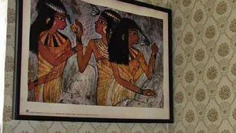 Junk, junk, junk - IMG_2716.jpg