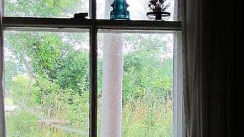 Junk, junk, junk - IMG_2719.jpg