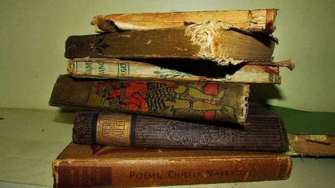 Junk, junk, junk - IMG_2744.jpg