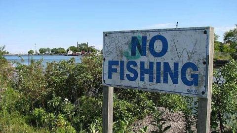 Photo from No Cash No Splash