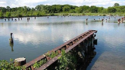 No Cash No Splash - Port-Oshawa-Marina11.jpg