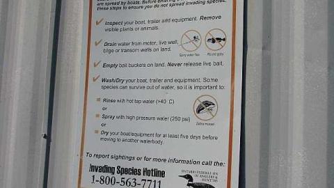 No Cash No Splash - Port-Oshawa-Marina18.jpg