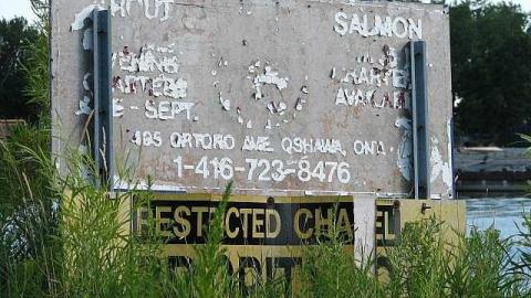 No Cash No Splash - Port-Oshawa-Marina20.jpg