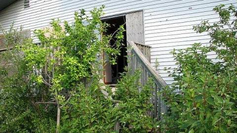 No Cash No Splash - Port-Oshawa-Marina21.jpg