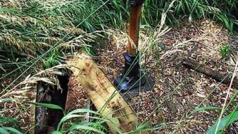 Buzzin' - Brick-house-on-Mulmur-Line-460.jpg