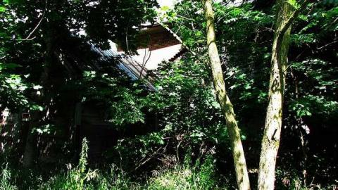 Buzzin' - Brick-house-on-Mulmur-Line-461.jpg