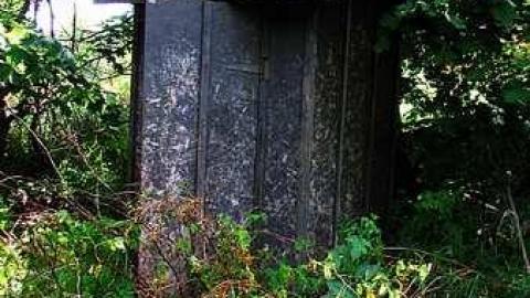 Buzzin' - Brick-house-on-Mulmur-Line-464.jpg