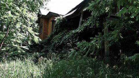 Buzzin' - Brick-house-on-Mulmur-Line-458.jpg