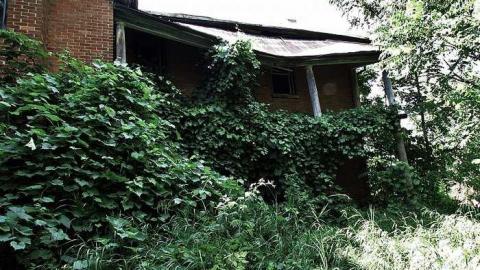 Buzzin' - Brick-house-on-Mulmur-Line-471.jpg