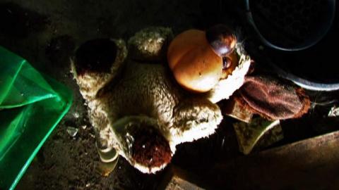 July 2016 - Garage-Across-from-Camp-30103.jpg