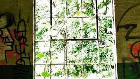 Kicked Out Early - Camp-30-Bowmanville1093.jpg