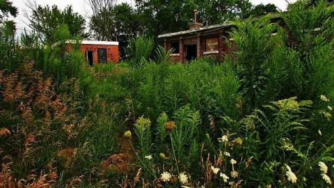 Kicked Out Early - Camp-30-Bowmanville1146.jpg