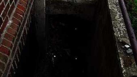 Kicked Out Early - Camp-30-Bowmanville1152.jpg