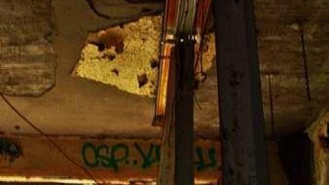 Kicked Out Early - Camp-30-Bowmanville1113.jpg