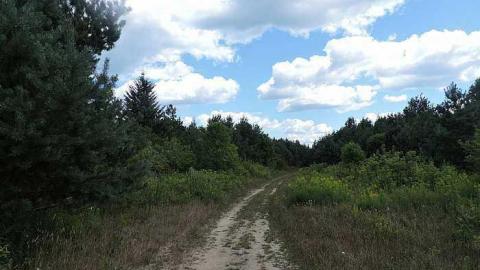 August 2016 - Trout-Creek--Off-the-Path7.jpg