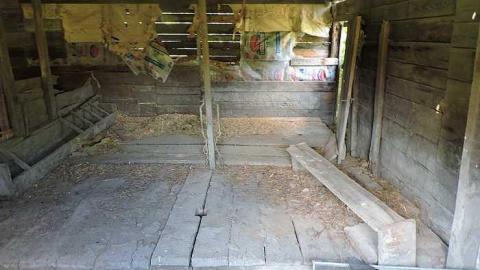 Trout Creek - Off the Path - Powassan, Ontario