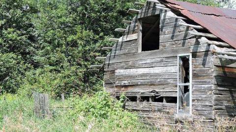 August 2016 - Trout-Creek--Off-the-Path1.jpg