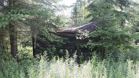 August 2016 - Trout-Creek--Off-the-Path3.jpg