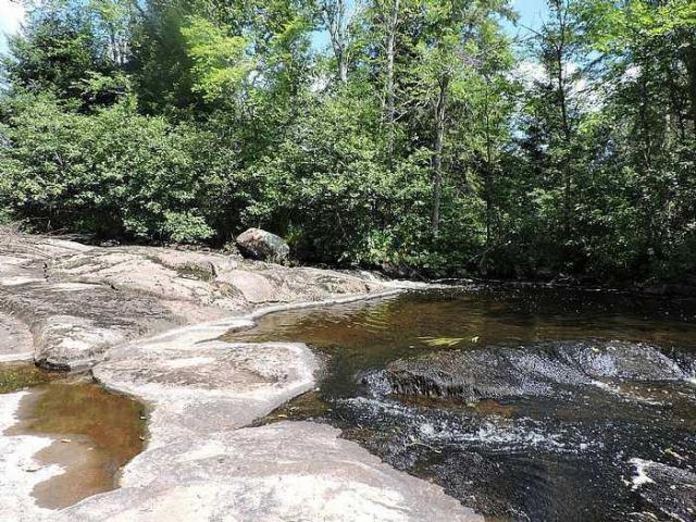 Trout Creek - Off the Path photo 4