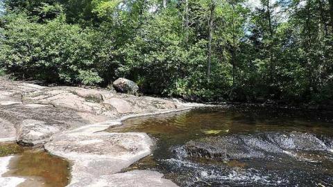 Trout Creek - Off the Path photo 4