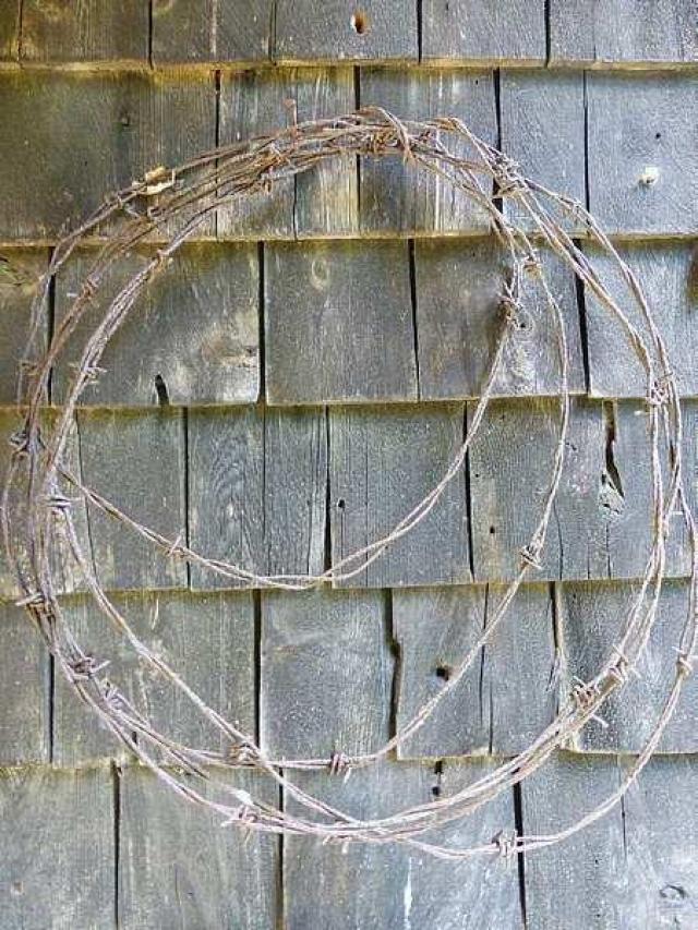 Luther and the Silo photo 2