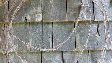 Luther and the Silo photo 2