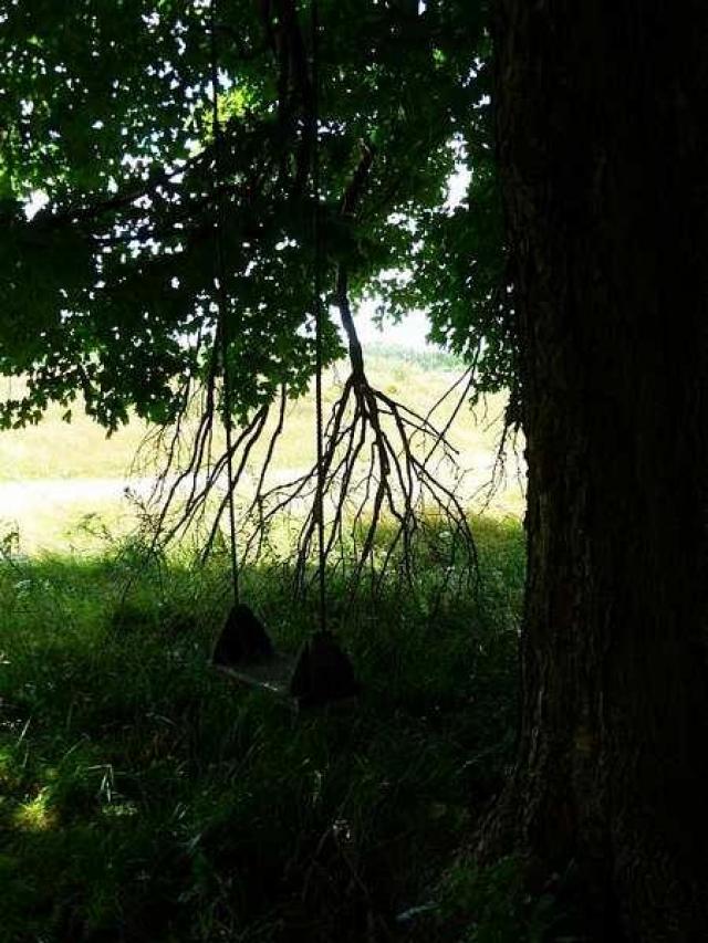 Luther and the Silo photo 5