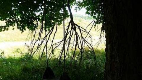 Luther and the Silo photo 5