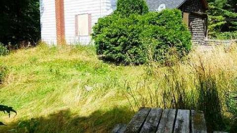 Luther - P1070344.jpg