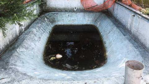 July 2016 Visit - IMG_3615.jpg