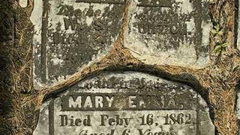 Lie Down Thou Weary One - Oxford-Centre-United-Ch-Cemetery24.jpg