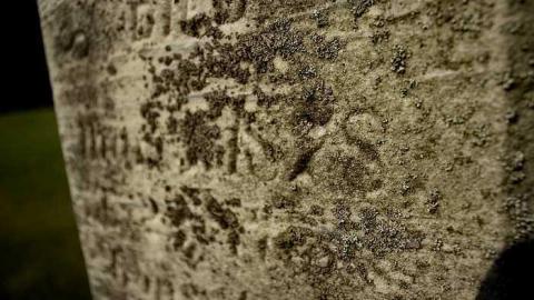 Lie Down Thou Weary One - Oxford-Centre-United-Ch-Cemetery11.jpg