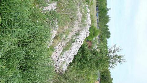 2016 Visit - We-Recycle-Old-Scrap-Yard26.jpg