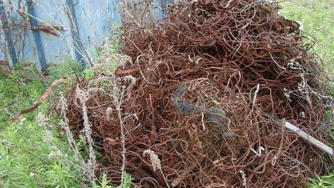 2016 Visit - We-Recycle-Old-Scrap-Yard17.jpg