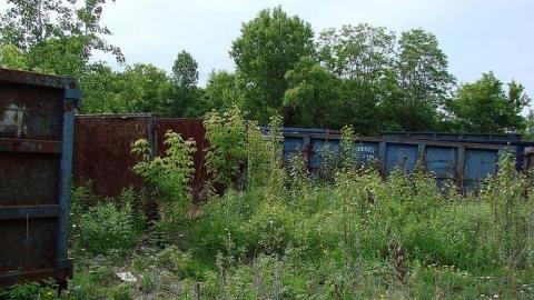 We Recycle Old Scrap Yard photo 5