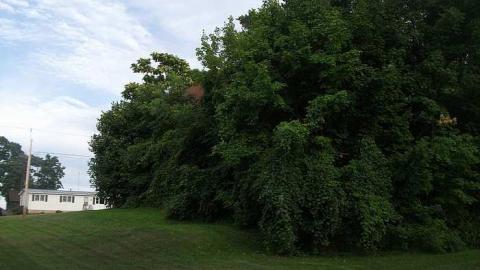 old school - School-Section-No.-5-Euphemia112.jpg