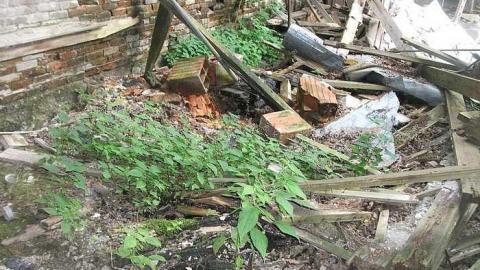 old school - School-Section-No.-5-Euphemia114.jpg