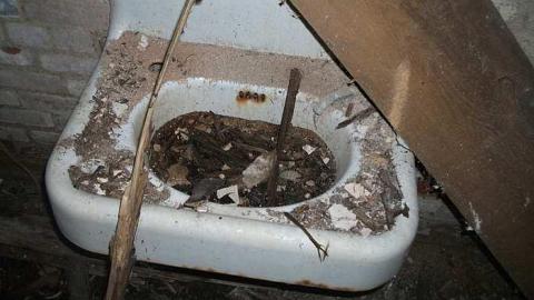 old school - School-Section-No.-5-Euphemia118.jpg