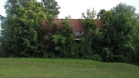 old school - School-Section-No.-5-Euphemia91.jpg