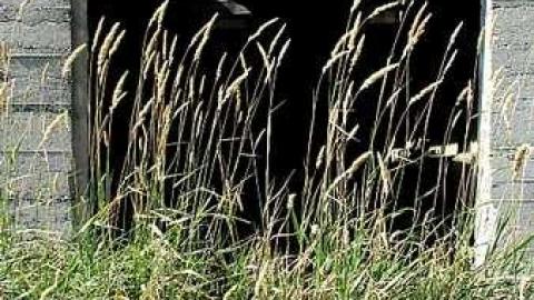 Strange Days - Lurid-Fortification59.jpg