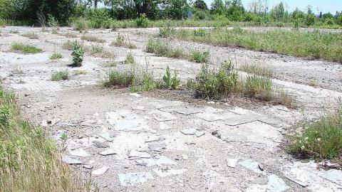 2016 Visit - Chex-TV--Radio-Station25.jpg