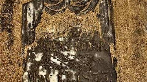  43.065569, -80.642080 West - Oriel-East-Pioneer-Cemetery35.jpg