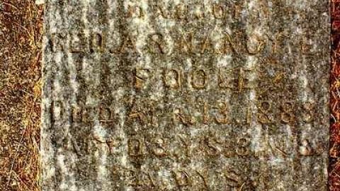  43.065569, -80.642080 West - Oriel-East-Pioneer-Cemetery40.jpg