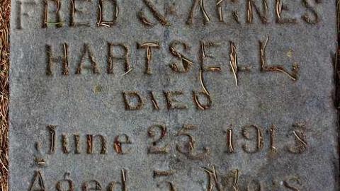 Photo from  43.065569, -80.642080 West