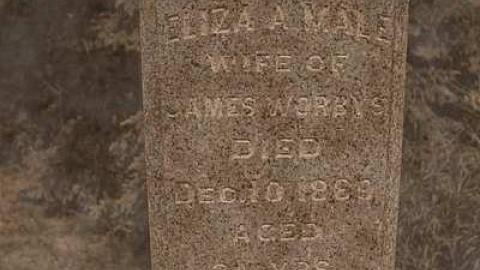  43.065569, -80.642080 West - Oriel-East-Pioneer-Cemetery48.jpg