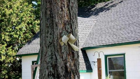 August 2016 - Put-Your-Feet-Up-and-Relax7.jpg