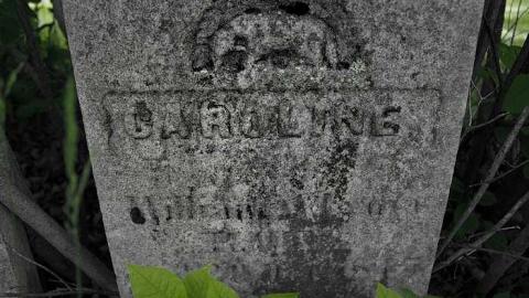 Downtown Cheapside - Cheapside-Baptist-ChurchCemetery7.jpg